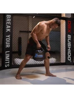 Funkční tréninkové zařízení s model 21437748 - DBX Bushido Funkční tréninkové zařízení s model 21437748 - DBX Bushido