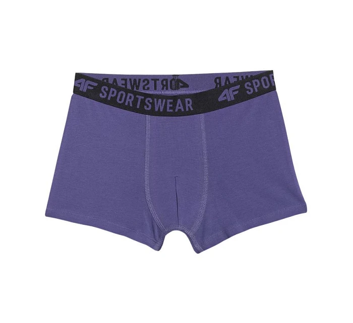 Chlapecké boxerky 3pak vícebarevné 1 JWAW25UBXS 91S model 21343674 - 4F Chlapecké boxerky 3pak vícebarevné 1 JWAW25UBXS 91S model 21343674 - 4F