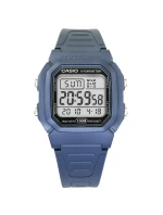 Pánské hodinky CASIO W-800H-2AVDF + krabice Pánské hodinky CASIO W-800H-2AVDF + krabice