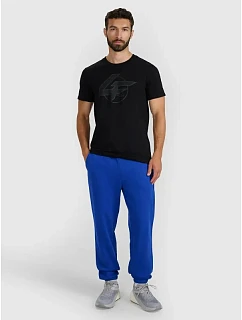 Pánské tepláky model 22099262 - 4F