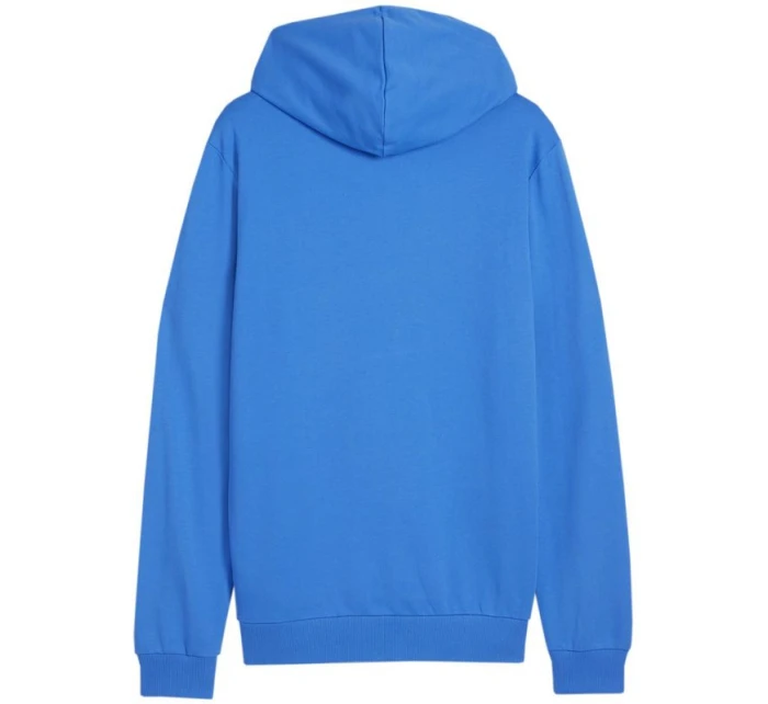 Mikina Puma Team Goal Casuals Hoody M 658618 02 pánské