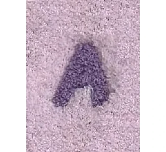 Ponožky Magnetis Dopisy