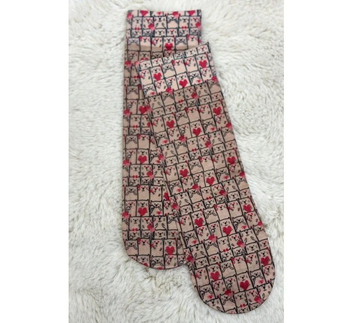 Dámské vzorované ponožky model 7465057 20 den - Magnetis