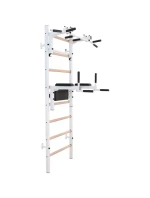 DŘEVĚNÝ KOVOVÝ GYMNASTICKÝ ŽEBŘÍK S HRAZDOU A PŘÍSLUŠENSTVÍM BENCHK 232W