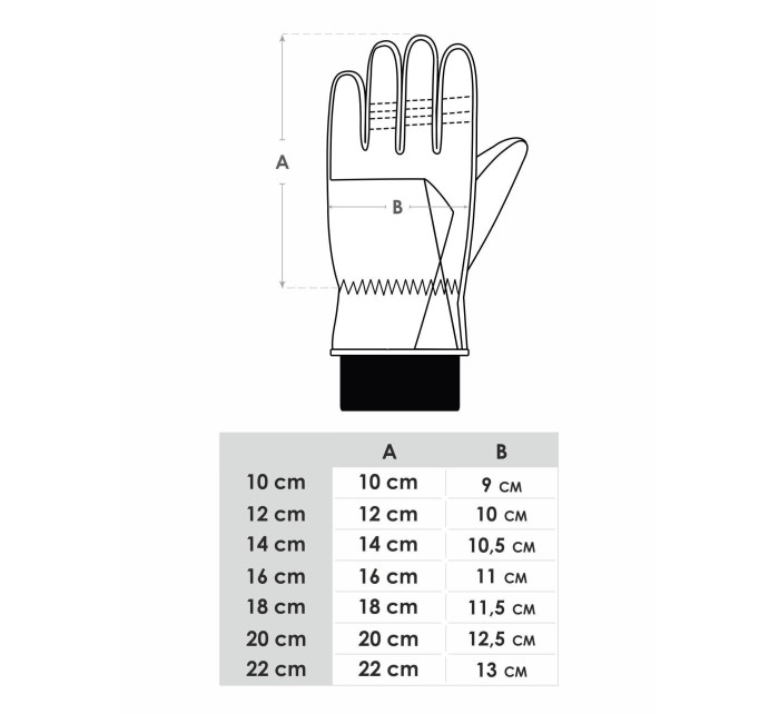 Dámské zimní lyžařské rukavice Yoclub REN-0261K-A150 Grey