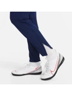 Kalhoty Nike Therma Fit Academy Winter Warrior Jr DC9158-492