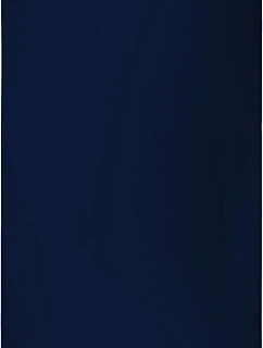Deluxe 100 Plážová osuška navy model 22547046 - The One Towelling