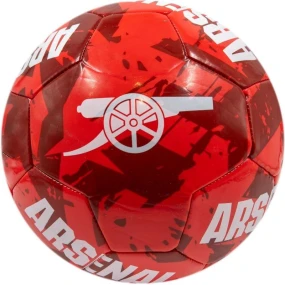 Fotbal Arsenal Londýn FC 70098763