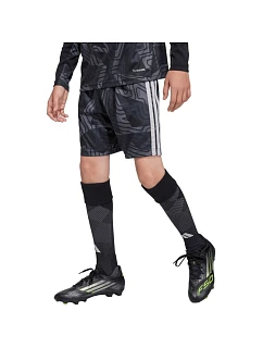 Dětské brankářské šortky adidas Tiro 26 Competition black/grey KC5468