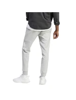 Tepláky adidas Big Logo Fleece M IJ6482