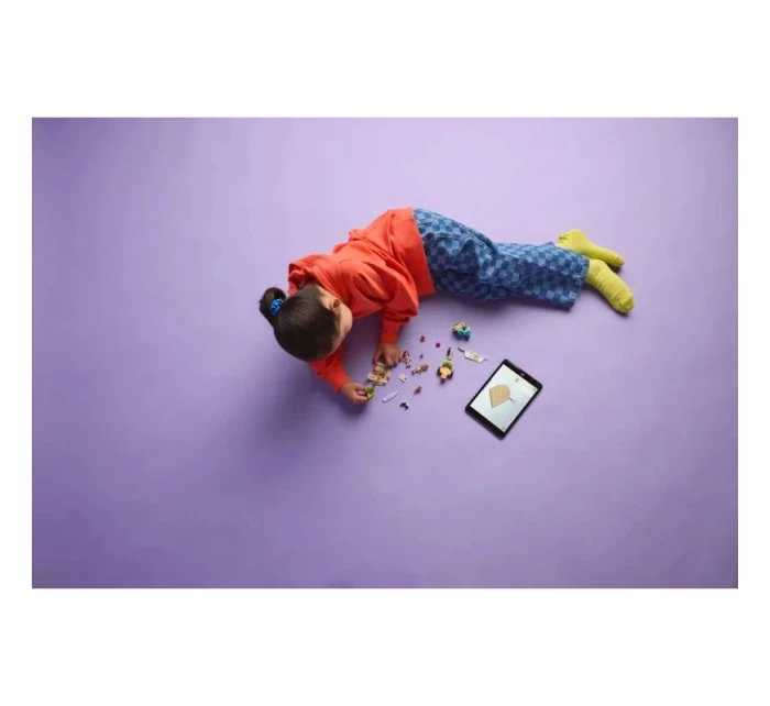 a model 21863985 - Lego