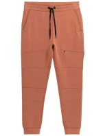 Kalhoty 4F M 4FSS23TTROM152 hnědé