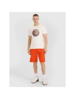 Pánské tričko s potiskem model 21433890 pánské - 4F Pánské tričko s potiskem model 21433890 pánské - 4F