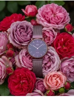 Closy Dark Purple Closy Dark Purple