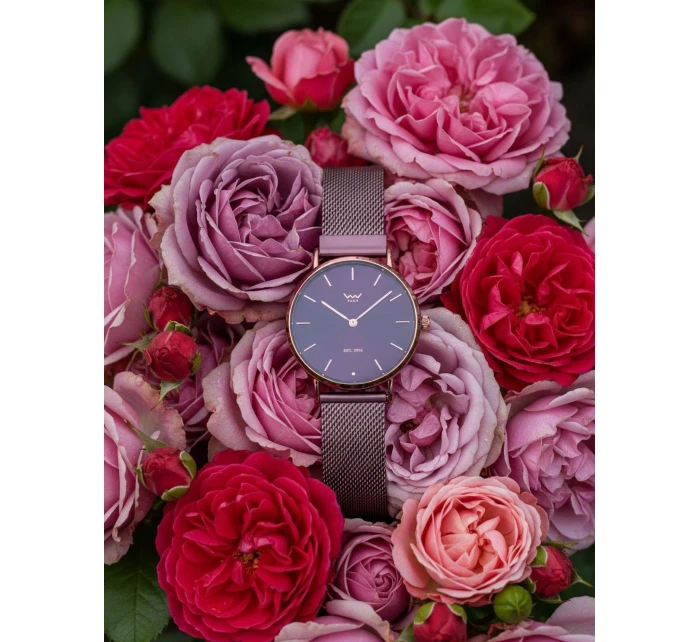 Closy Dark Purple Closy Dark Purple