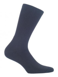 Pánské hladké ponožky FROTTE AG+