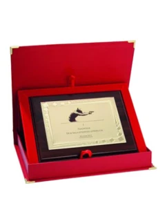 Dyplom z tworzywa sztucznego z  grawerowany + etui model 21829396