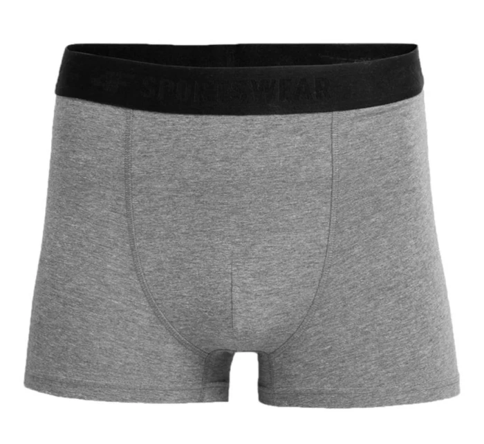 Pánské slipy M H4L22-BIM350-90M - 4F