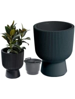 DONICZKA DO  NA  ANTRACYT dětské model 21833641