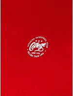Pánské tričko s potiskem červené Dstreet model 21974891 - FashionStreet
