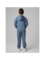 Chlapecké tepláky joggers model 22135757 dětské - 4F