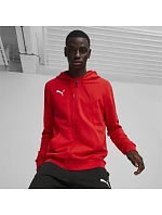 Pánské tričko Puma Team Goal Casuals Hooded M 658595 01