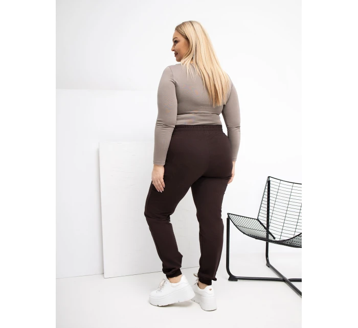 Spodnie dresowe RV DR model 21870771 ciemny brązowy - FPrice