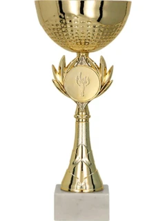 Zlatý kovový pohár