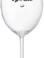 NĚKDO TO VYPÍT MUSÍ - čirá sklenice na víno 350 ml