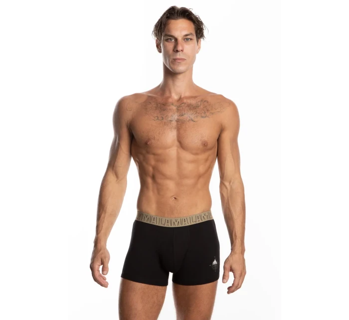 PÁNSKÉ ŠORTKY model 21051558 2PACK - Lama