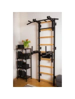 GYMNASTICKÝ ŽEBŘÍK S NASTAVITELNOU TYČÍ A ZÁBRADLÍM BENCHK 732B