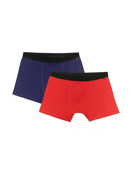 Boxerky 2pack M WMM00UBXS 91S model 21021211 - 4F Boxerky 2pack M WMM00UBXS 91S model 21021211 - 4F