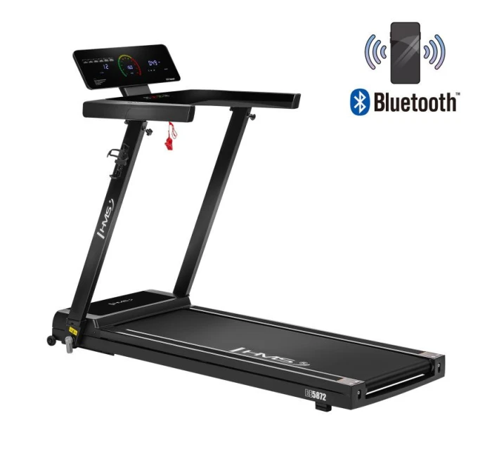 PÁS model 21818244 - HMS