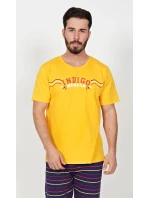 Pánské pyžamo kapri Indigo