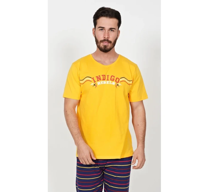 Pánské pyžamo kapri Indigo