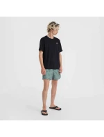 Plavecké šortky O'Neill Cali Print M model 20080373 - ONeill