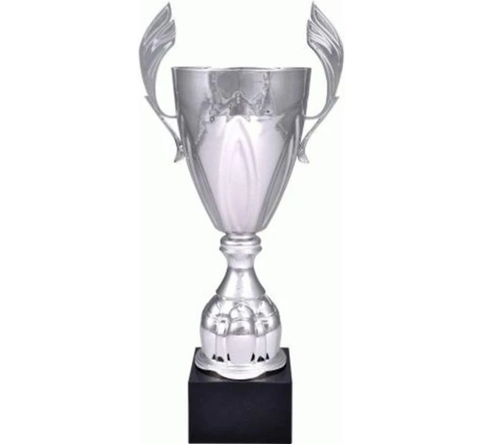 Stříbrný kovový pohár model 21827646