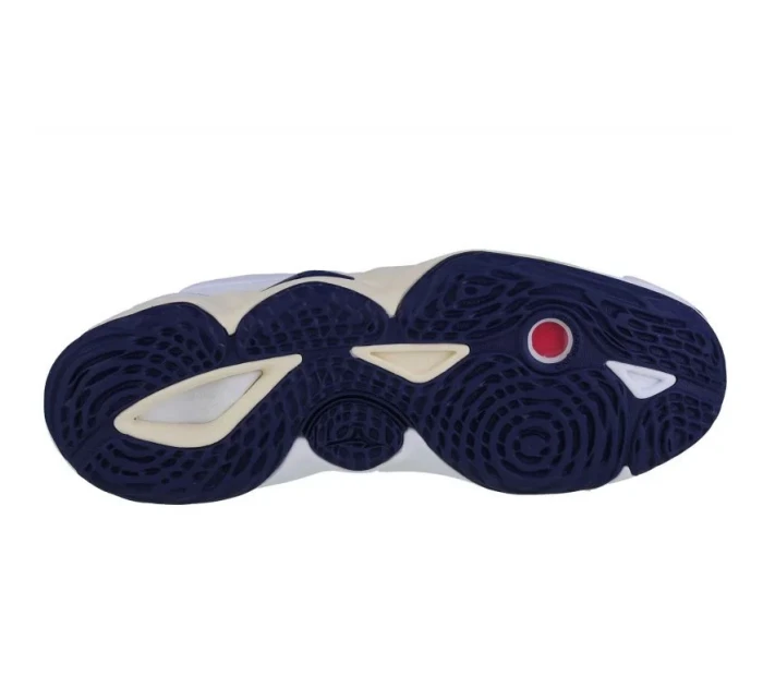 Boty Mizuno Wave Momentum 3 M V1GA231243