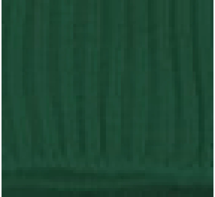 dámské ponožky krátké model 21222384 - CERBER