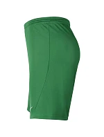 Pánská obuv Dry Park III NB K M BV6855 302 - Nike