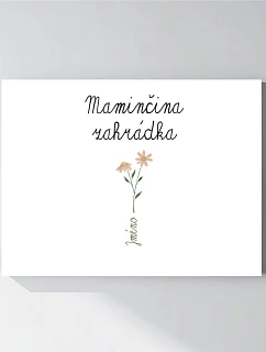 Personalizovaný magický fotoobraz v rámu - 30x40 - květinová zahrádka