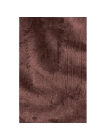 Dámská přechodná bunda s kapucí Hoody W softshell červená model 21767867 - Jack Wolfskin Dámská přechodná bunda s kapucí Hoody W softshell červená model 21767867 - Jack Wolfskin