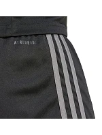 Šortky Squadra 25 M model 21865785 - ADIDAS