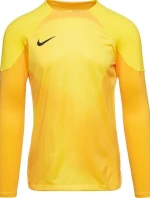 Pánský brankářský dres Gardien IV  JSY M DH7967 719 - Nike 