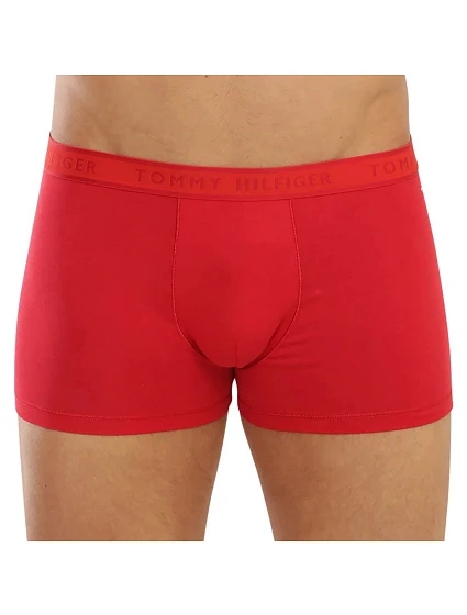 Trunk  model 20946384 - Tommy Hilfiger