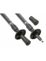 Trekingové hole Classic silver Trekingové hole Classic silver