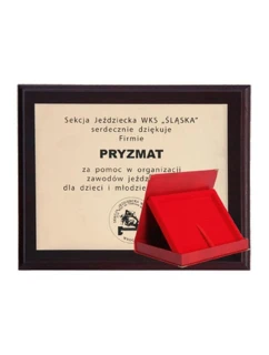 z tworzywa sztucznego z grawerowany + etui mm model 21829278