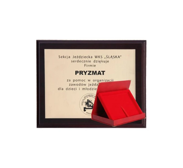 z tworzywa sztucznego z grawerowany + etui mm model 21829278