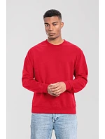 Iconic 250 SetIn Sweat Mikina model 22459235 red - Fruit of the Loom