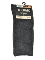 Pánské ponožky  Thermo model 21335208 - WiK